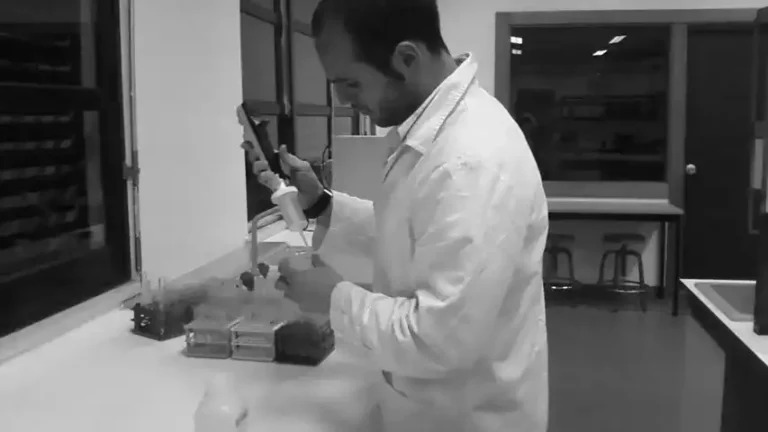 Acabei o Mestrado de Engenharia do Ambiente (Faro)